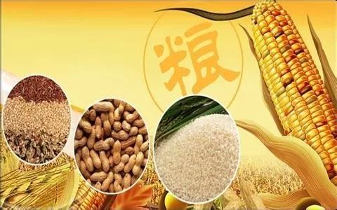 人口粮食比
