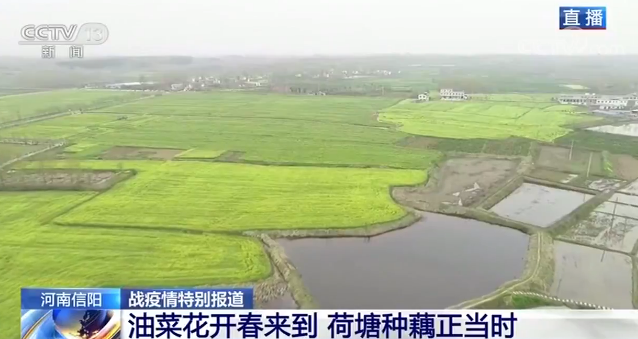 「全国」防疫不放松 春耕不误时：全国从南到北 田野里一片忙碌景象