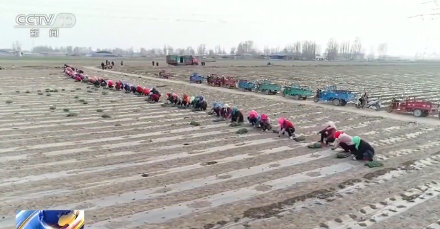 「全国」防疫不放松 春耕不误时：全国从南到北 田野里一片忙碌景象