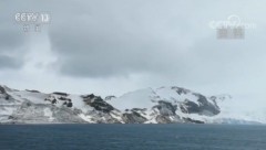 第35次南极科考 雪龙船上迎除夕
