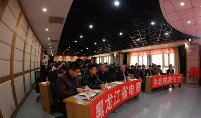 黑龙江省电子竞技运动协会正式成立