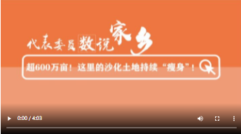 代表委员数说家乡丨超600万亩这里的沙化土地持续瘦身