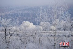 中俄界江两岸呈现雾凇美景（组图）