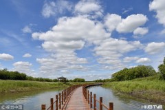 佳木斯黑瞎子岛湿地公园风光如画  游客盛夏休闲避暑好去处（组图）