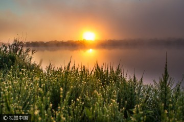 月9号早8点,国家电网黑龙江省电力有限公司的
