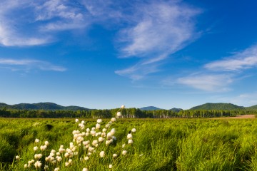 月9号早8点,国家电网黑龙江省电力有限公司的