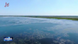 濒危植物现身乌裕尔河国家级自然保护区