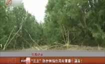 權威辟謠：“三北”防護林擋住風吹霧霾？謠言！