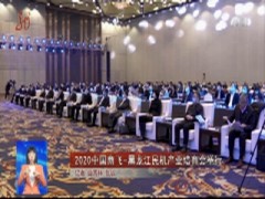 2020中国商飞-黑龙江民机产业培育会举行