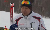 龙年游玩来龙江 滑雪天堂选亚布力国际雪场