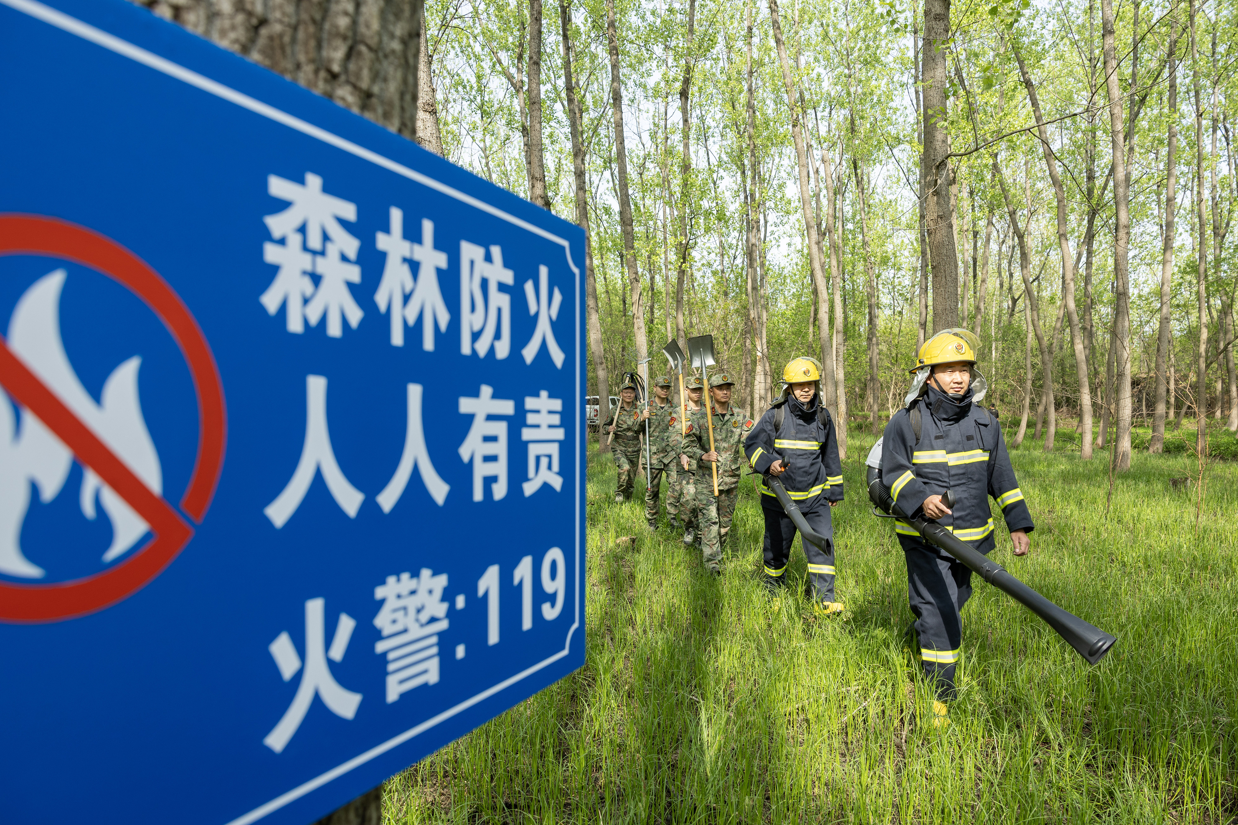 2024年4月9日，合肥市大房郢水库水源保护地庐阳经济开发区段，基干民兵正在林间巡查火灾隐患。