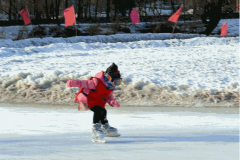 高小微：这个冬天去哪玩？哈尔滨这69处公益冰场免费开放！