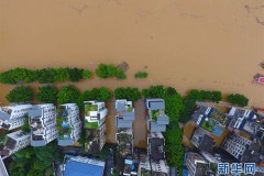 广西柳州柳江出现超警戒水位