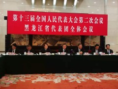 黑龙江代表团全体会议向媒体开放（组图四）