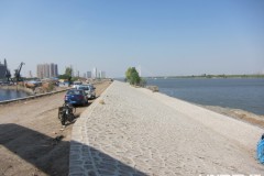 黑龙江哈尔滨：江堤改线 去道外江畔湿地无需再绕道