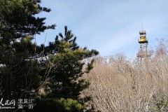 哈尔滨阿城区吊水壶风景区——全国最大的红叶观赏地（组图）